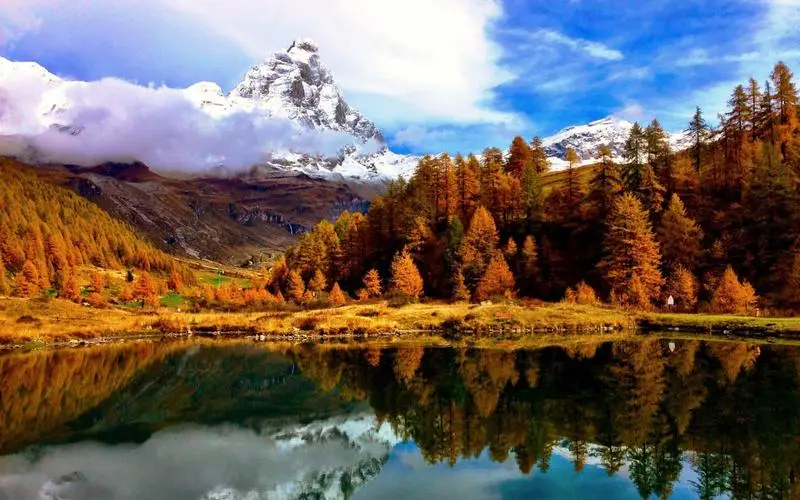 数字化无人化独特